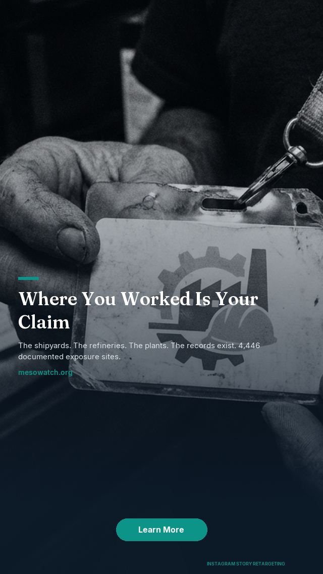 Instagram retargeting ad: Story placement