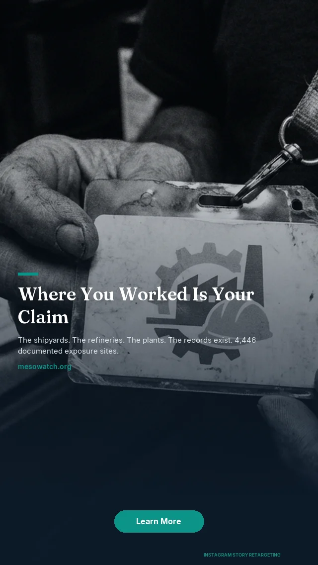 Instagram retargeting ad: Story placement